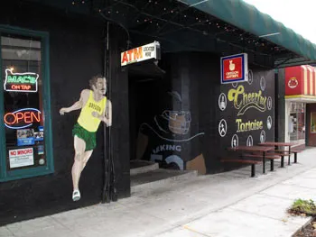The Cheerful Tortoise Mural (1 of 6)